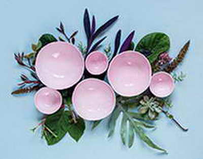 «Они не скот, их не вакцинируешь»: почему зоологи не могут спасти каспийских тюленей