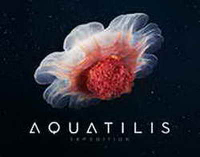 10 gün hasarından aşdıqları evdən 213 min manatlıq oğurluq etdilər