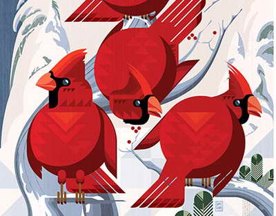 Vüqar Qurbanovun səhvi nə idi?