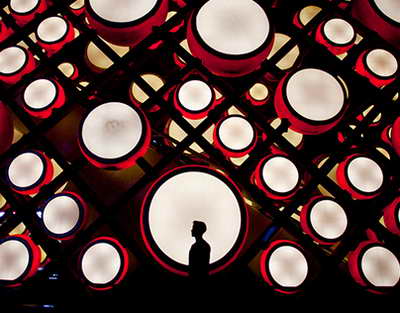 Quşlar kosmosa istilik yayır – TƏDQİQAT